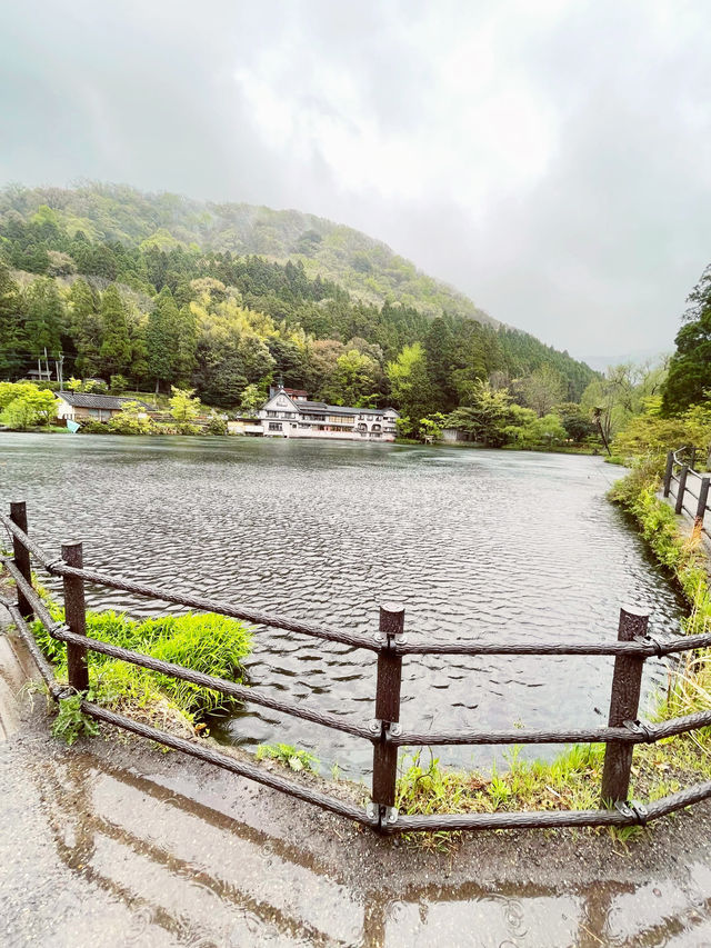 【湯布院】春天好去處！金鱗湖特色景點