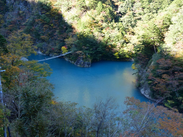 静岡の秘境！寸又峡の夢の吊り橋