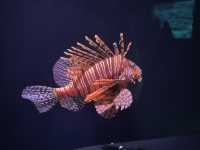 【福岡大分】海洋之卵水族館:海豚、海象表演,特別旅遊體驗