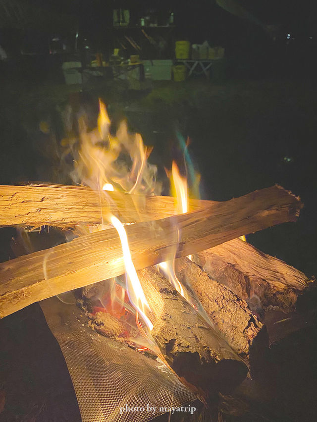 【千葉】星空の下でキャンプ🏕ツリーハウスもあるよ