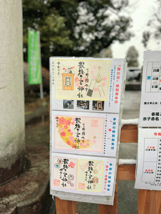 【栃木】猫好きは絶対に行ってほしい🐈かわいい御朱印のある神社