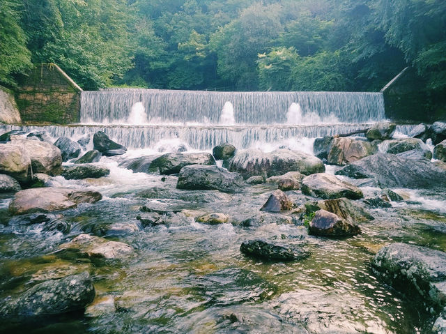 Yumyeongsan Nature Recreation Forest