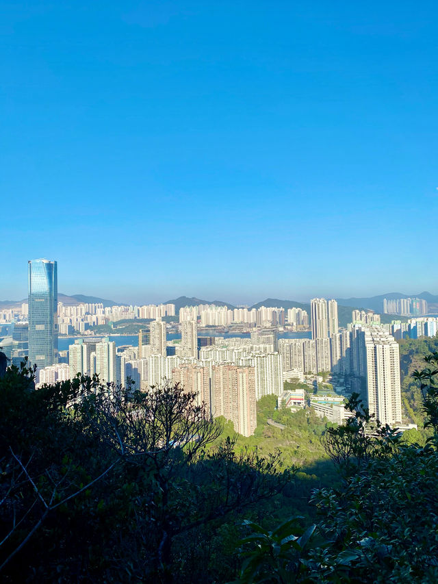 【港島東部】金督馳馬徑：四通八達的輕鬆郊遊之旅，遊歷自然奇景