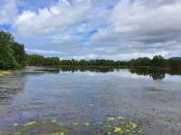 Cattana Wetlands