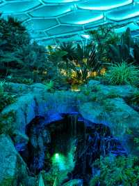 Bucheon Lake Botanic Park สวนพฤกศาสตร์ฟีลอวกาศ