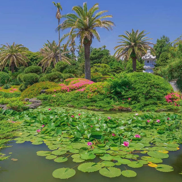 沖繩東南植物樂園～熱帶植物奇觀