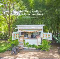 Mulberry Mellow คาเฟ่สุดกรีนสำหรับคนรักธรรมชาติ 