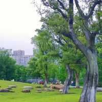 「海心沙亞運公園：自然綠洲」