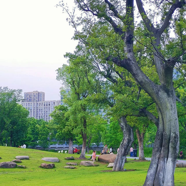 「海心沙亞運公園：自然綠洲」