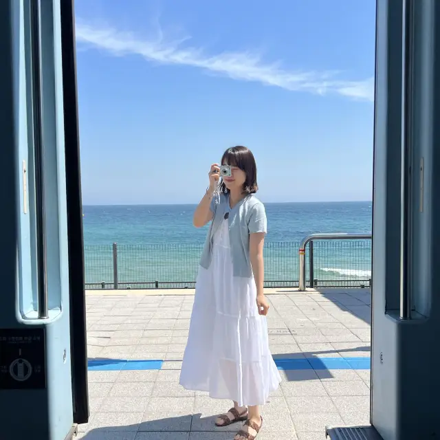 搭乘東海聖誕列車前往江陵正東津看海