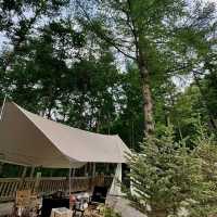 名馬軒營地：湖光山色，春天好去處