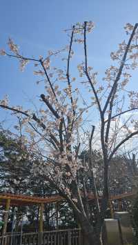 [여자혼자] 부산 2박 3일 알차게 즐기기💕 1일차 (+부산 5만원대 오션뷰 숙소 추천)