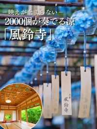 【京都】これからのシーズンに行きたい☀️雨でも映える風鈴スポット訪問完全攻略🎐