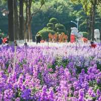 碧山巖：優質綠道，感受大自然魅力