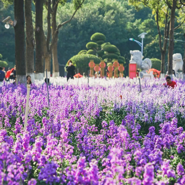 碧山巖：優質綠道，感受大自然魅力
