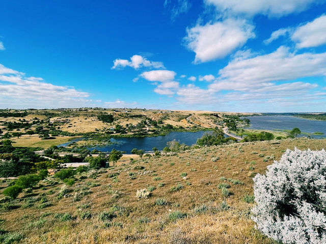 The Lookout