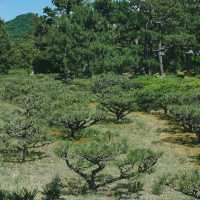 「駿府城公園：歷史與自然美景，四季美景適合漫步」