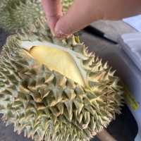 มาเที่ยวเมืองขุนหาญ