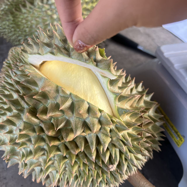 มาเที่ยวเมืองขุนหาญ