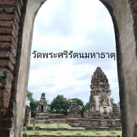 ชมป่าเจดีย์ที่วัดพระศรีรัตนมหาธาตุ ลพบุรี