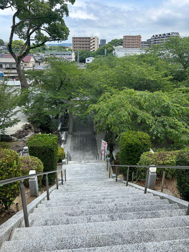 【北九州】水無月花手水あじさいがきれい『日峯神社』