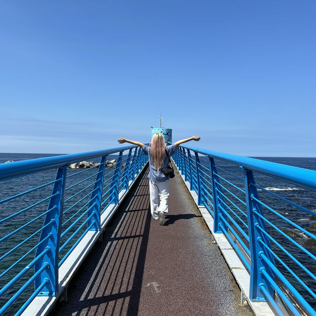 천혜의 자연경관, 울릉도 여행 ⛰️