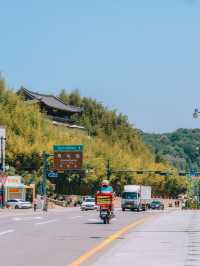 담양 관방제림