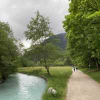 The alpines of Mittenwald