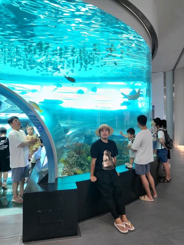 무료로 즐기는 아쿠아리움