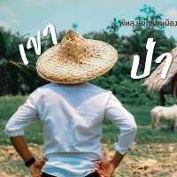 พัทลุงไม่ใช่แค่เมืองทางผ่าน เพราะมี เขา ป่า นา เล 