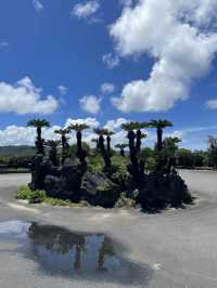 奄美大島　奄美十景、あやまる岬🏝️