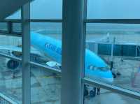 인천 -> 런던(KE907) 후기🛫☁️