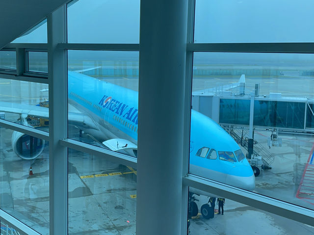 인천 -> 런던(KE907) 후기🛫☁️