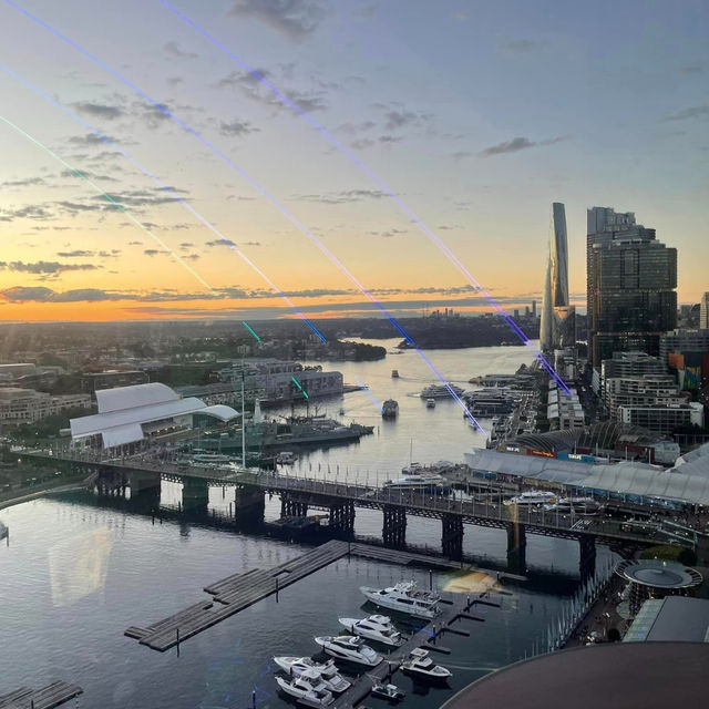W Sydney Hotel: A Luxurious Oasis in the Heart of the City
