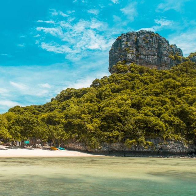 Exploring the Depths: Monkey Bay's Underwater Wonderland
