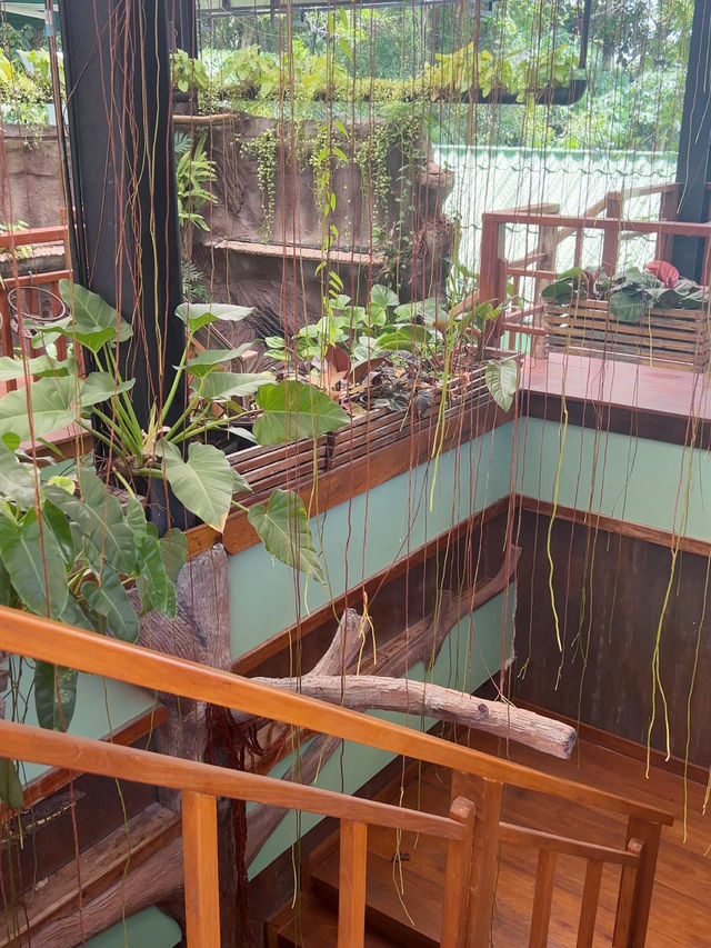 【口碑爆棚！布吉機場附近泰國餐廳】