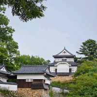 【岡山】備中松山城