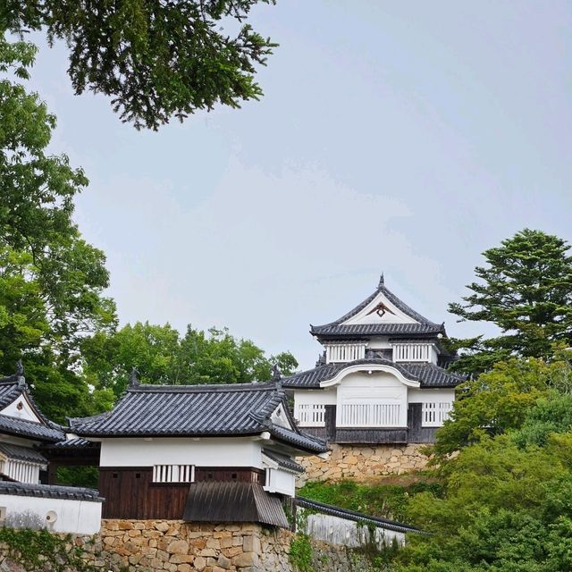 【岡山】備中松山城