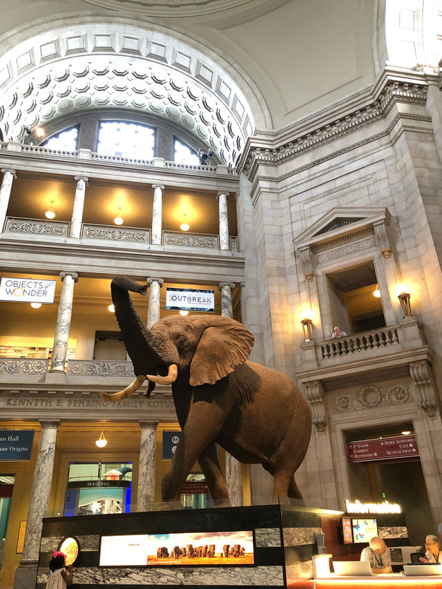 Smithsonian national museum of natural history 