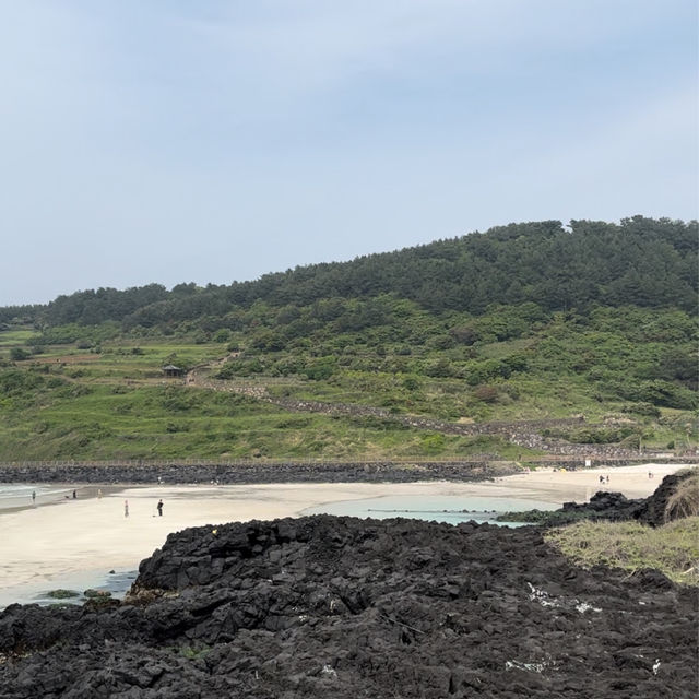 제주여행🏝️ 네번째 오름, 함덕 해변 옆 서우봉(서모봉)💚
