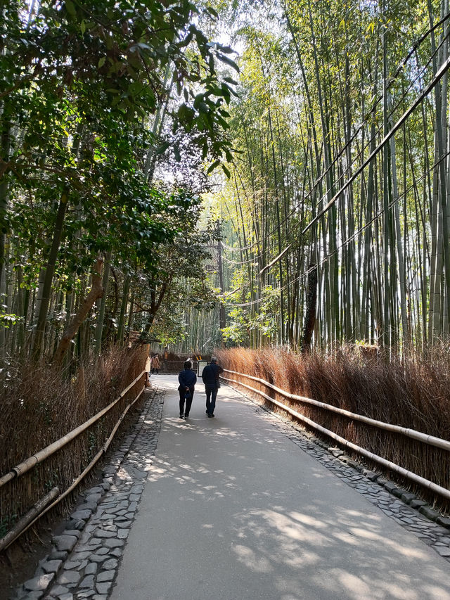 Exploring the Heart of Kyoto