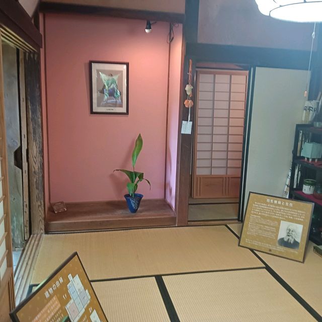 種子島景点