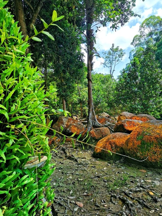 Hutan Lipur Ulu Bendul, a nature hidden gem in Kuala Pilah 🍃