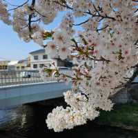 尊重傳統工藝保存的松本市