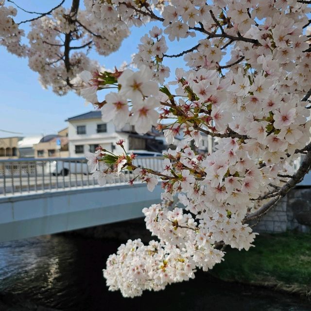 尊重傳統工藝保存的松本市