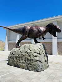 【長崎県:野母崎】長崎県で発見された恐竜の化石を展示！