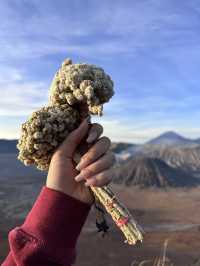 Hear the heartbeat of the earth at Mt Bromo