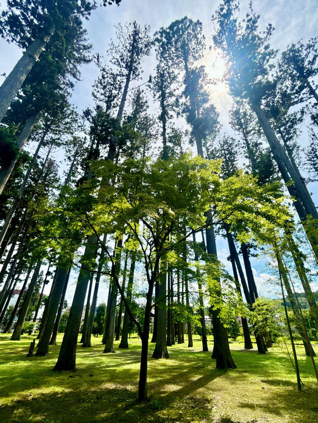 【日本東北】松島瑞嚴寺：莊嚴肅穆的三十三尊觀音像