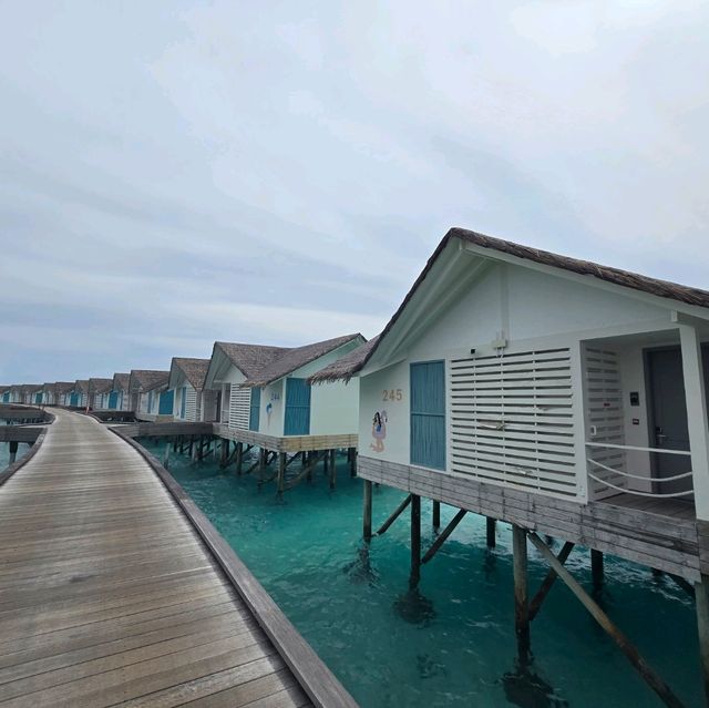 mọi thứ thật tuyệt vời