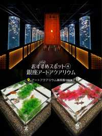 〜東京都〜日本の夏！室内スポット4選！